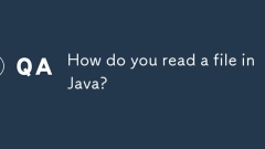 How do you read a file in Java?
