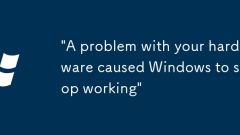 'A problem with your hardware caused Windows to stop working'