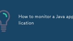 How to monitor a Java application
