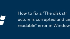 How to fix a 'The disk structure is corrupted and unreadable' error in Windows