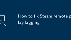 How to fix Steam remote play lagging
