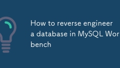 Comment insensé ingénieur une base de données dans MySQL Workbench