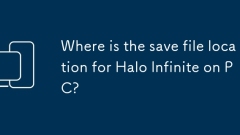 Di manakah lokasi simpan fail untuk halo tak terhingga di pc?