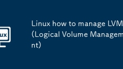 Linux LVMの管理方法(論理ボリューム管理)