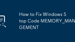 Cara Memperbaiki Windows Stop Code Memory_Management