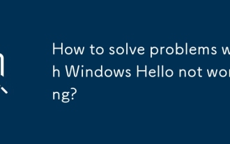 Wie löst ich Probleme mit Windows Hallo, funktioniert nicht?