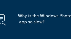 Why is the Windows Photos app so slow?