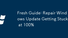 Fresh Guide: Repair Windows Update Getting Stuck at 100%