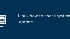 Linuxシステムアップタイムをチェックする方法