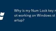 Why is my Num Lock key not working on Windows startup?