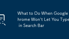 What to Do When Google Chrome Won't Let You Type in Search Bar