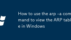 How to use the arp -a command to view the ARP table in Windows