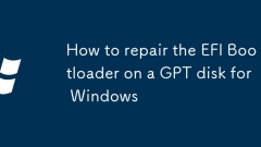 How to repair the EFI Bootloader on a GPT disk for Windows