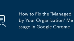 How to Fix the 'Managed by Your Organization' Message in Google Chrome