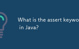 Quel est le mot-clé Assert en Java?
