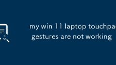 my win 11 laptop touchpad gestures are not working