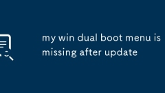 my win dual boot menu is missing after update