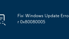 Fix: Windows Update Error 0x80080005