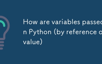 如何在Python中传递变量(通过参考或值)