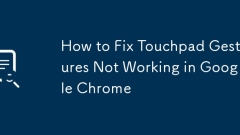 Cara Memperbaiki Gerakan Touchpad Tidak Berfungsi Di Google Chrome