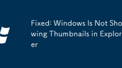 Fixed: Windows Is Not Showing Thumbnails in Explorer
