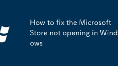 How to fix the Microsoft Store not opening in Windows