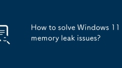 How to solve Windows 11 memory leak issues?