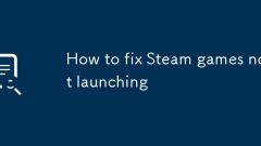 How to fix Steam games not launching