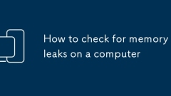 How to check for memory leaks on a computer