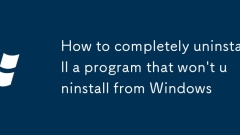 How to completely uninstall a program that won't uninstall from Windows