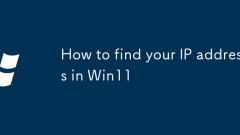 How to find your IP address in Win11