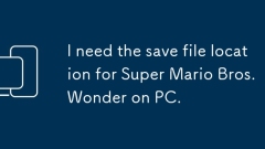 I need the save file location for Super Mario Bros. Wonder on PC.