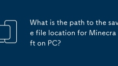 What is the path to the save file location for Minecraft on PC?