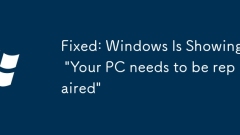 修復(fù):Windows顯示'您的PC需要修理”