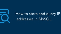 Comment stocker et interroger les adresses IP dans MySQL