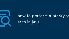how to perform a binary search in java