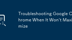 Google Chromeのトラブルシューティングが最大化されない場合