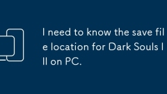 PC上のDark Souls IIIのファイルの保存場所を知る必要があります。