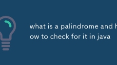 what is a palindrome and how to check for it in java
