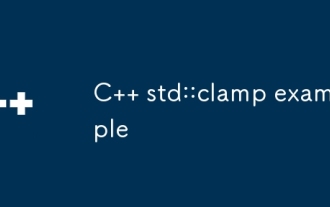 C std ::夹具示例