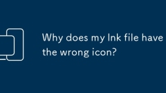 Why does my lnk file have the wrong icon?