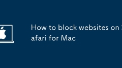 如何在Mac上阻止Safari上的网站
