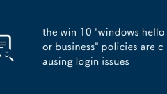 the win 10 'windows hello for business' policies are causing login issues