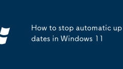 How to stop automatic updates in Windows 11
