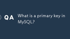 Qu'est-ce qu'une clé principale dans MySQL?