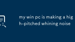 PC menang saya membuat bunyi merengek tinggi