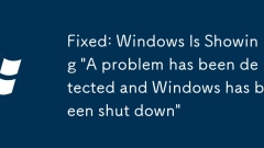 Fixed: Windows Is Showing 'A problem has been detected and Windows has been shut down'