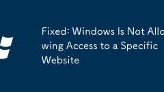 Fixed: Windows Is Not Allowing Access to a Specific Website