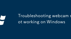 Troubleshooting webcam not working on Windows
