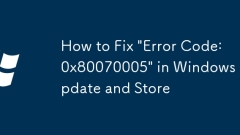 如何修復(fù)Windows Update并存儲(chǔ)的'錯(cuò)誤代碼:0x80070005”